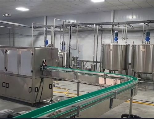 12000瓶玻璃瓶饮料生产线设备 5000吨大型果酒加工设备